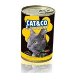 كات جو طعام القطط الرطب