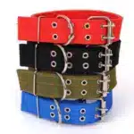 طوق لعنق الكلب