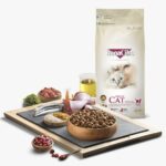 بونا كيبو طعام جاف للقطط نكهة الدجاج 2 كيلو