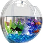 حوض سمك فاخر من الاكريليك يثبت على الحائط