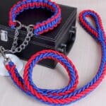 مجموعة طوق و حبل "ليش"