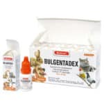 بولجنتادكس قطرة عين للحيوانات الاليفة