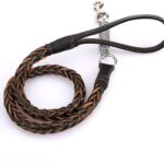 حبل ليش للكلاب مصنوع من الجلد القوي المجدول مع سبرينج
