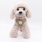 سترة هارنس مع ليش للكلاب الصغيرة الجراء و القطط عدة الوان