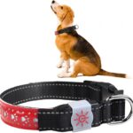 طوق مضيء للكلاب قابل لإعادة الشحن ، شكل اقدام الكلب