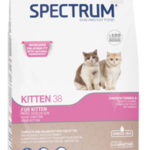 سبيكتروم طعام قطط جاف KITTEN 38