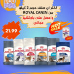 اصناف رويال كانين + باوتشيز مجاني