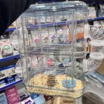 هامستر مع قفص طابقين حجم كبير شفاف